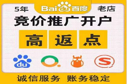 初学者的百度竞价推广：成功案例揭秘
